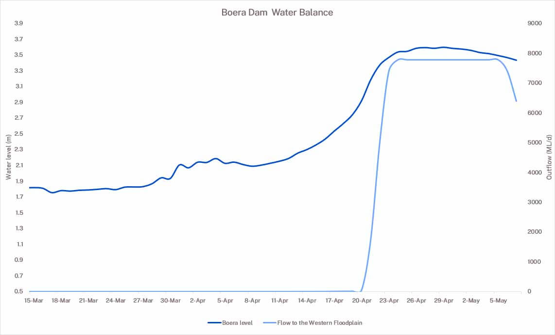 Boera Dam water balance graph 9 May 2025 showing flows to the Western Floodplain in light blue and Boera Dam water levels in dark blue.